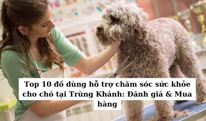 Cách nuôi chó con Trùng Khánh từng giai đoạn: Hướng dẫn chi tiết