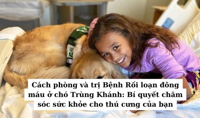 Cách phòng và trị bệnh về mắt ở chó tại Trùng Khánh: Hướng dẫn chi tiết cho chủ nuôi chó