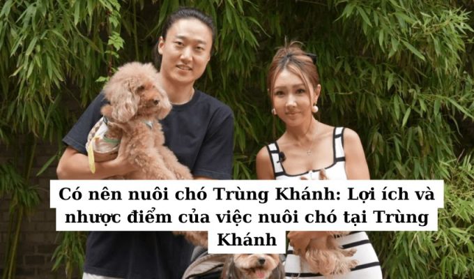 Có nên nuôi chó Trùng Khánh: Lợi ích và nhược điểm của việc nuôi chó tại Trùng Khánh