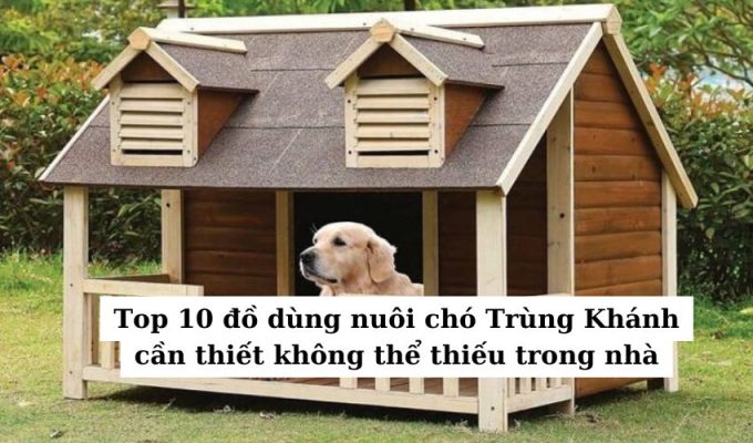 Top 10 đồ dùng nuôi chó Trùng Khánh cần thiết không thể thiếu trong nhà